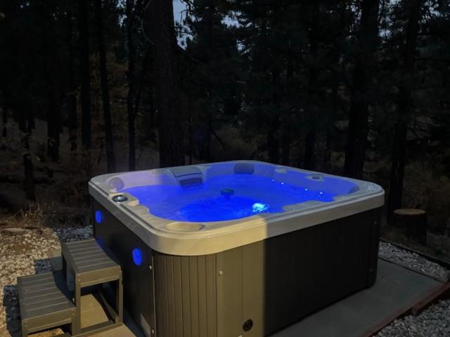 Snow Bunny Lodge - Perfect Big Bear Getaway! Deck With A New Hot Tub And Charcoal Barbecue! Big Bear Lake Zewnętrze zdjęcie